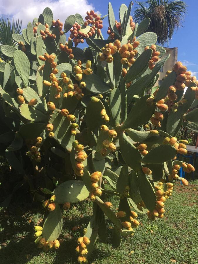 Il Giardino Degli Agrumi Caserta Eksteriør bilde