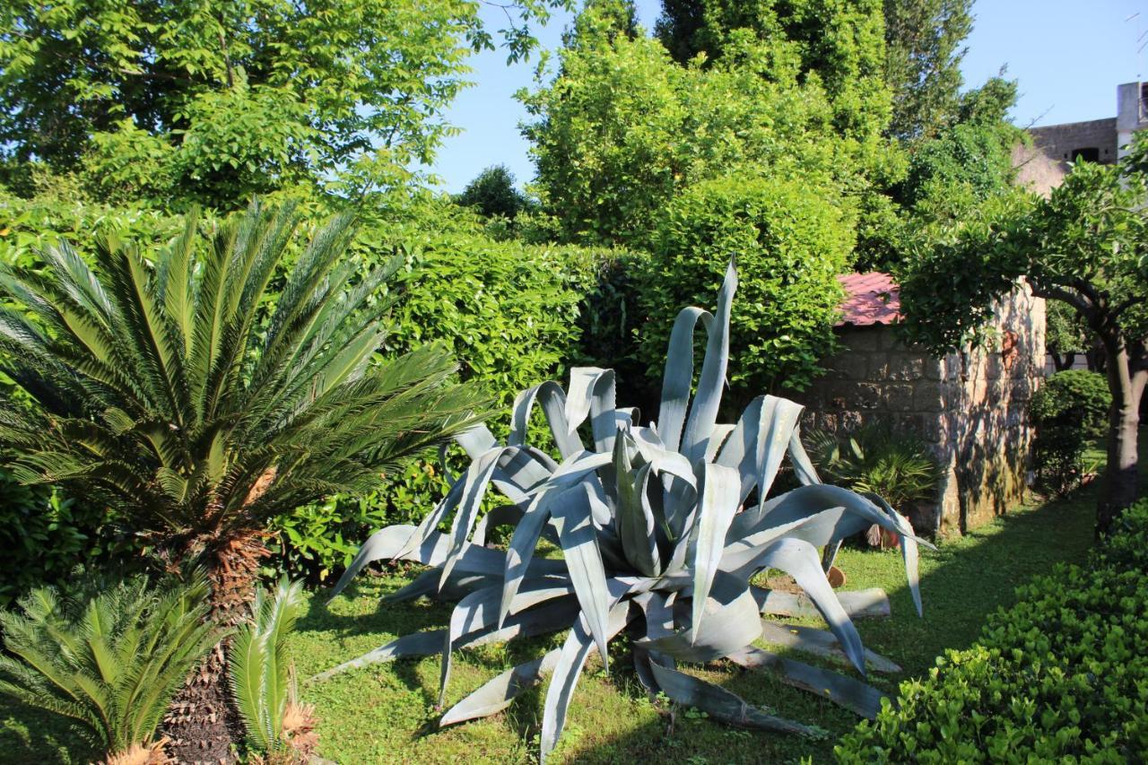 Il Giardino Degli Agrumi Villa Caserta Eksteriør bilde