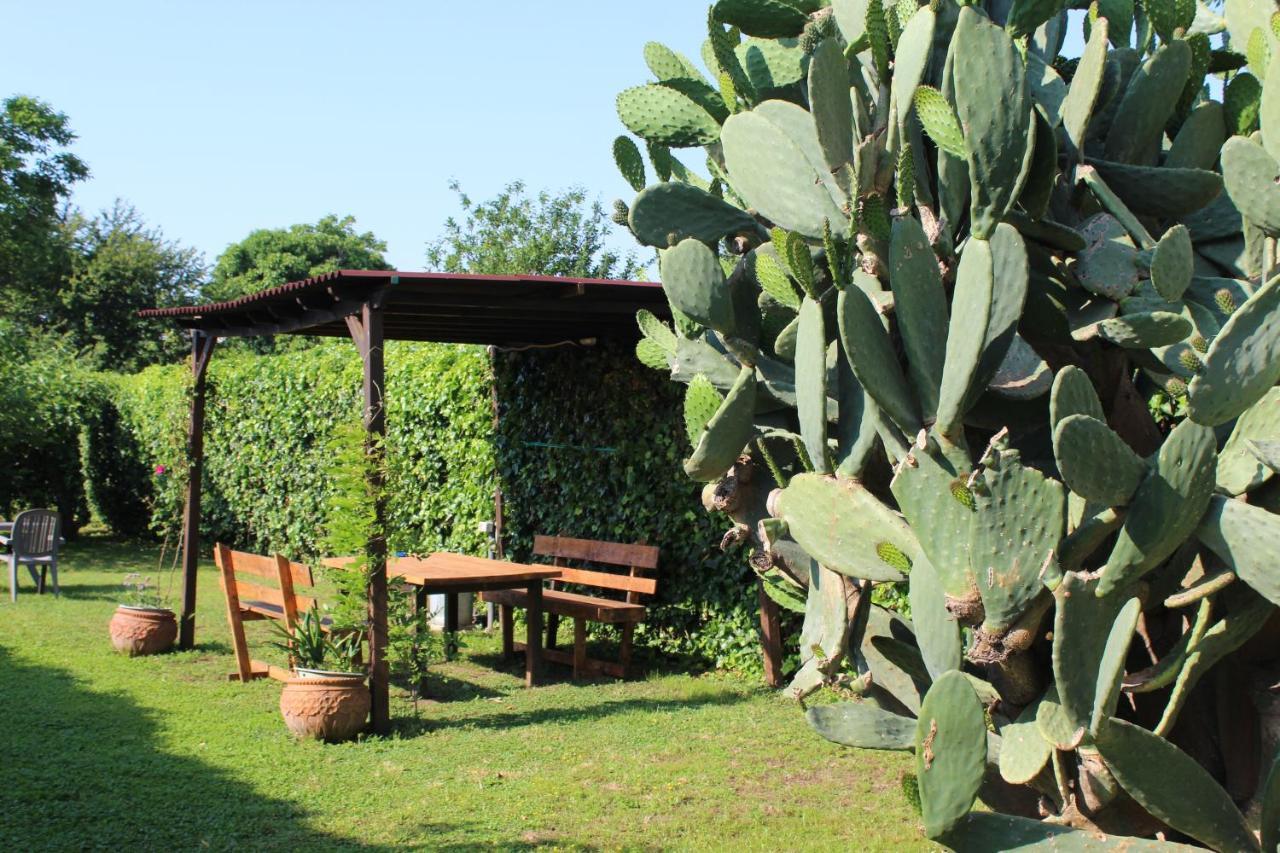 Il Giardino Degli Agrumi Villa Caserta Eksteriør bilde