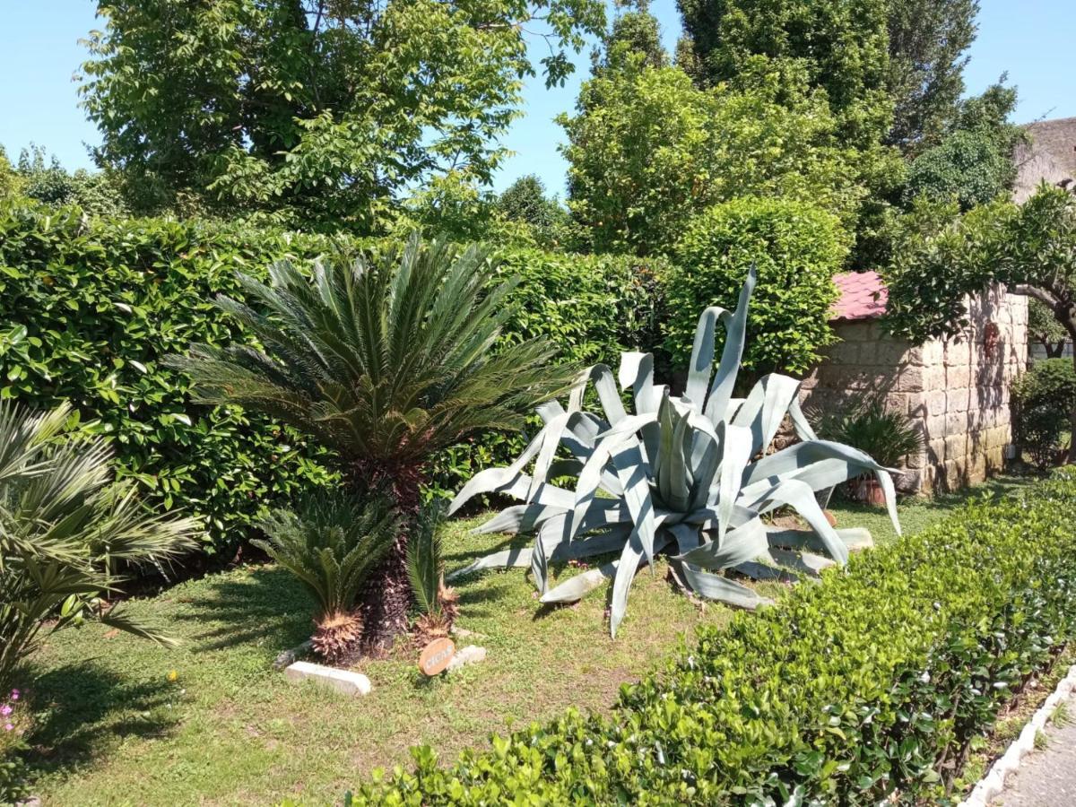 Il Giardino Degli Agrumi Villa Caserta Eksteriør bilde