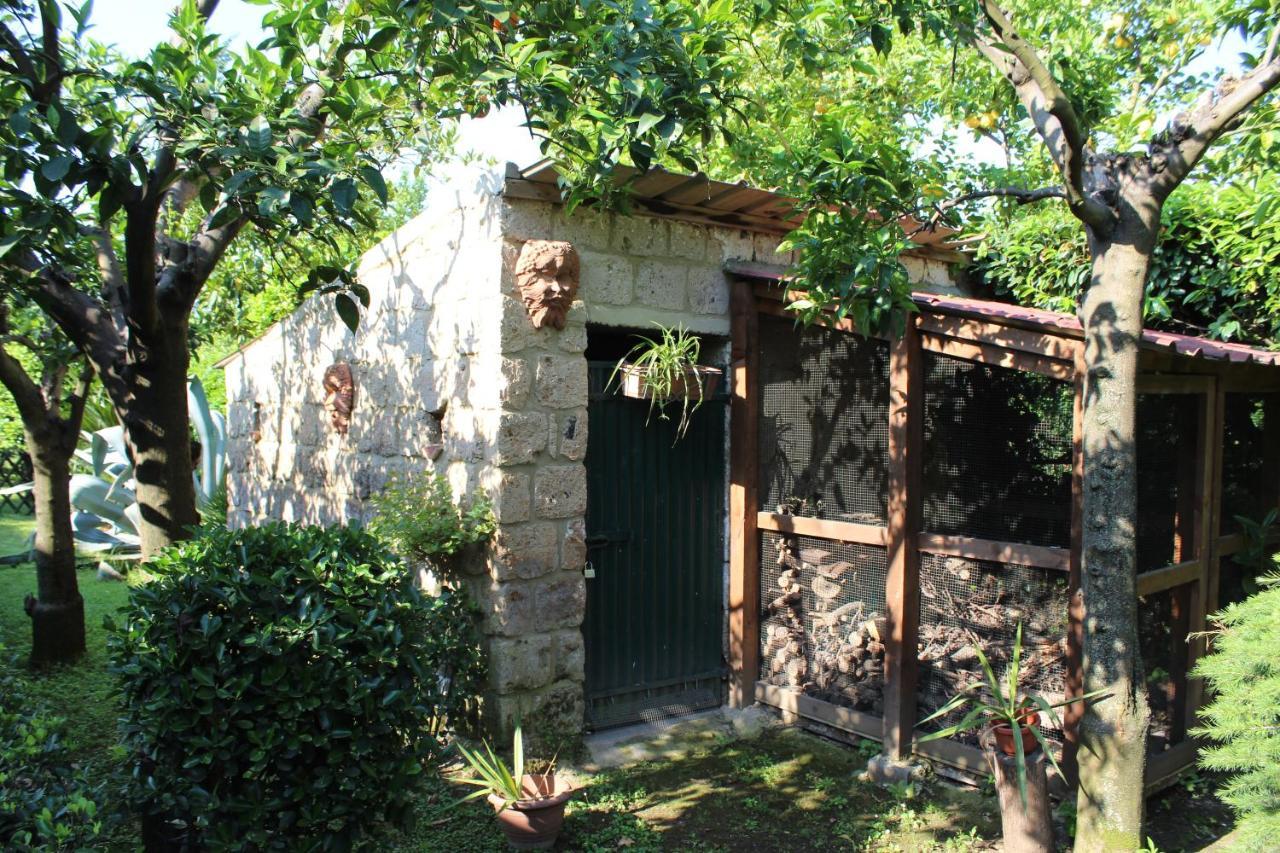 Il Giardino Degli Agrumi Villa Caserta Eksteriør bilde