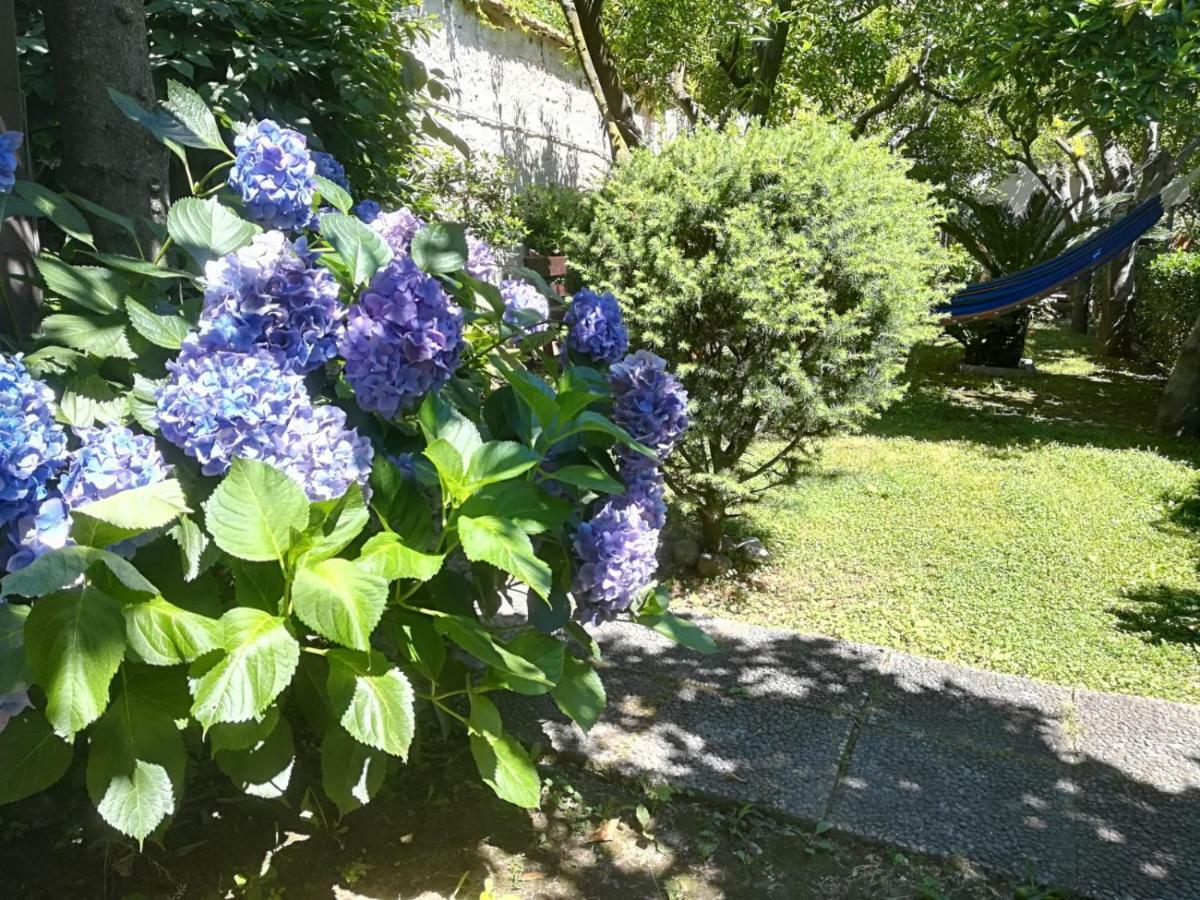 Il Giardino Degli Agrumi Caserta Eksteriør bilde