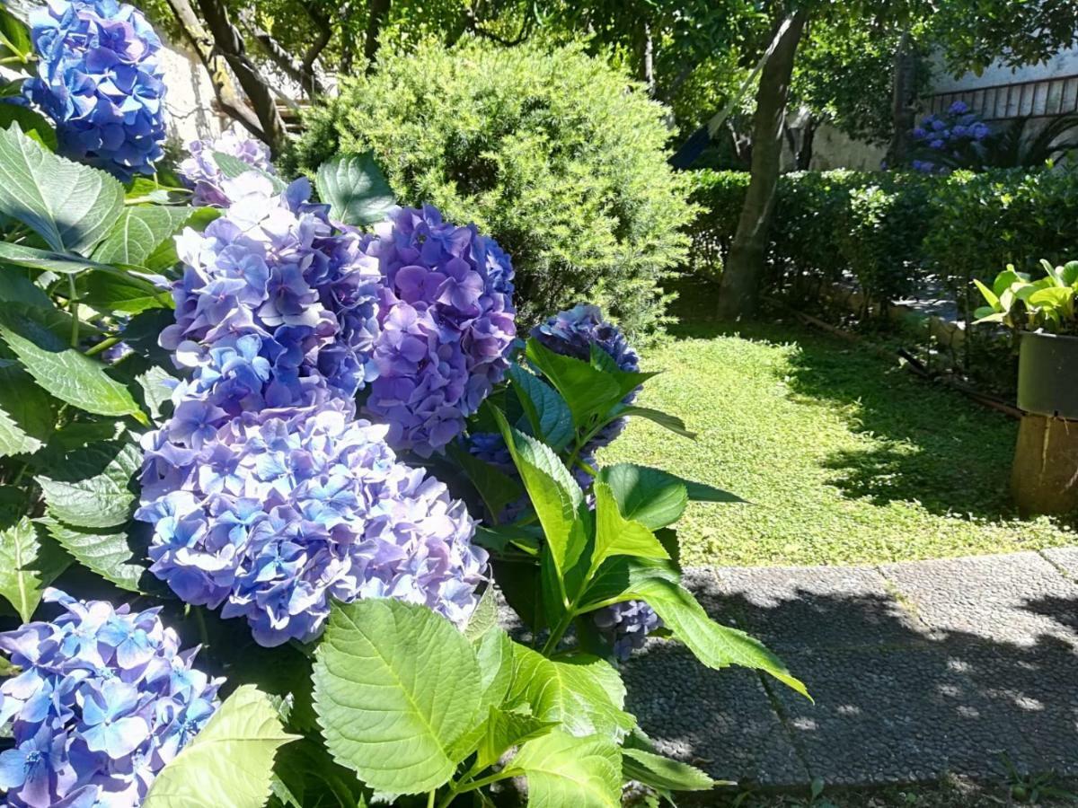 Il Giardino Degli Agrumi Villa Caserta Eksteriør bilde